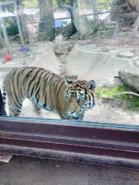 【名古屋】なごやから電車で約20分！東山動物園