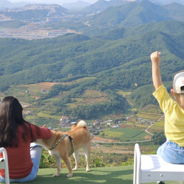 단양 카페 산, 패러글라이딩 명소에서 인생샷 찍어요