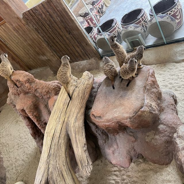 與小朋友來一堂實體課