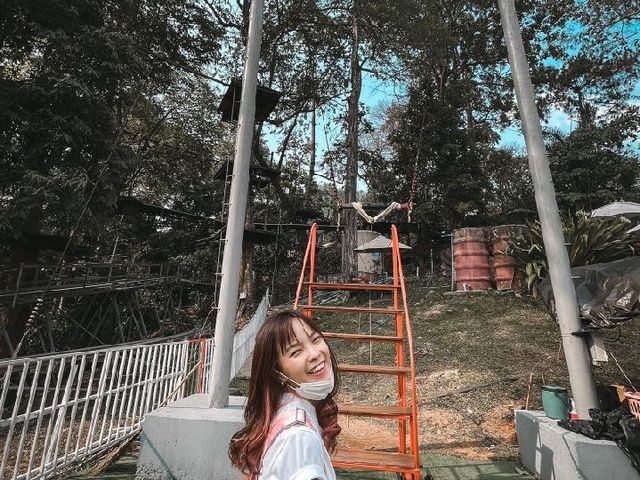 Pongyang Jungle Coaster Zipline Camp&Resort ⛰️⛰️