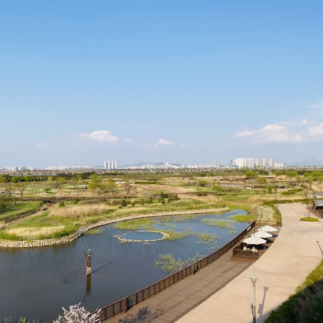 산책하러 가기좋은 공원, 자연을 느낄수 있는 김포핫플🍃