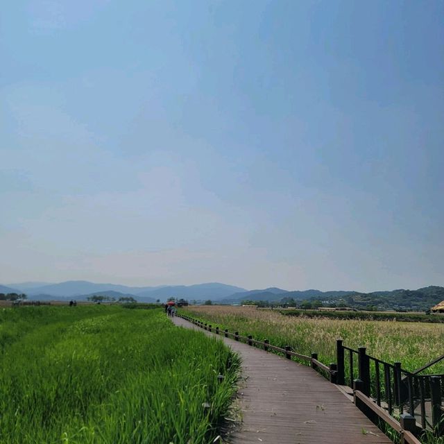 순천여행 순천만자연생태공원 