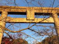 「鬼滅之刃」粉絲的朝聖地｜竈門神社