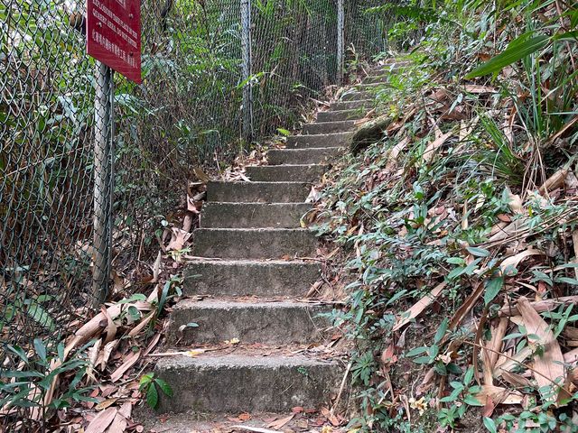 城市景、山景都能目睹的小馬山🤩