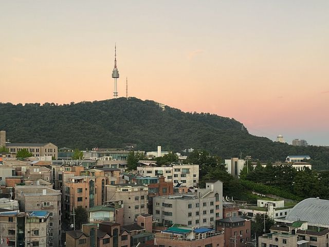 요즘 핫한 "머메이드 수영장"이 있는 호텔!