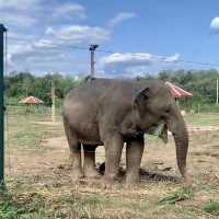 Visiting Elephants camp 