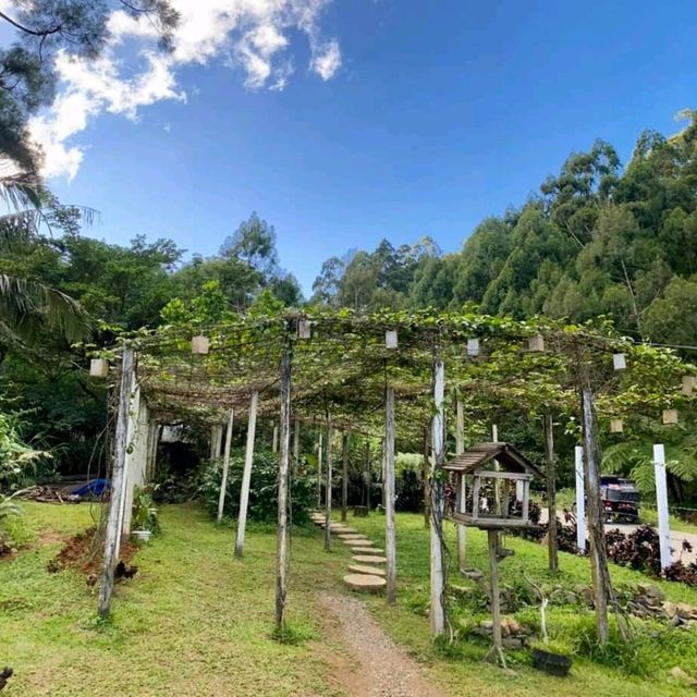 NATURE LOVER (Sibuyan Island)