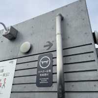 【横浜】スケボー広場でスポーツの秋