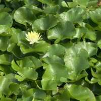 Sarnath : Where Buddha delivered 1st sermon