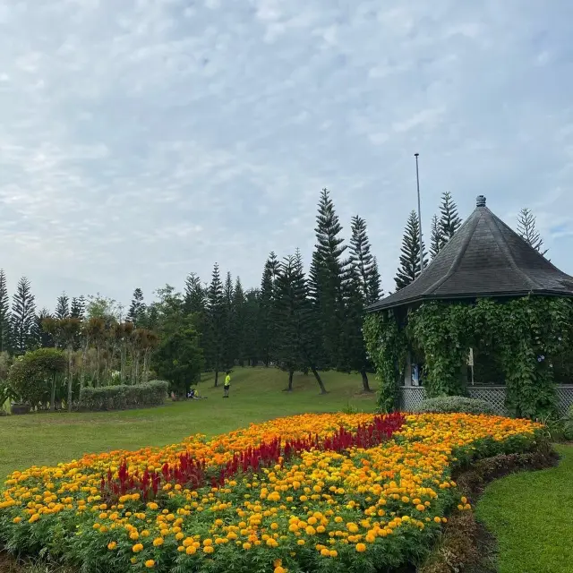 TAMAN SAUJANA HIJAU