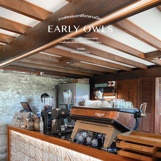 Early Owls・เออร์ลี่ อาวส์