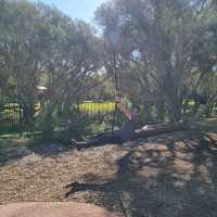 Pia's Place All Abilities Playspace