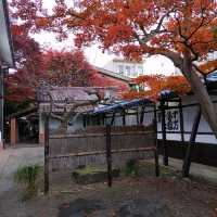岩手県！童話の世界も紅葉でした～光原社本店～