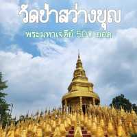 __☀️_พระมหาเจดีย์สีทอง 500 ยอด_☀️__ 