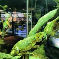 Aquaria Phuket