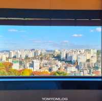 서울 신라호텔 호캉스_비즈니스디럭스 영빈관뷰 룸투어