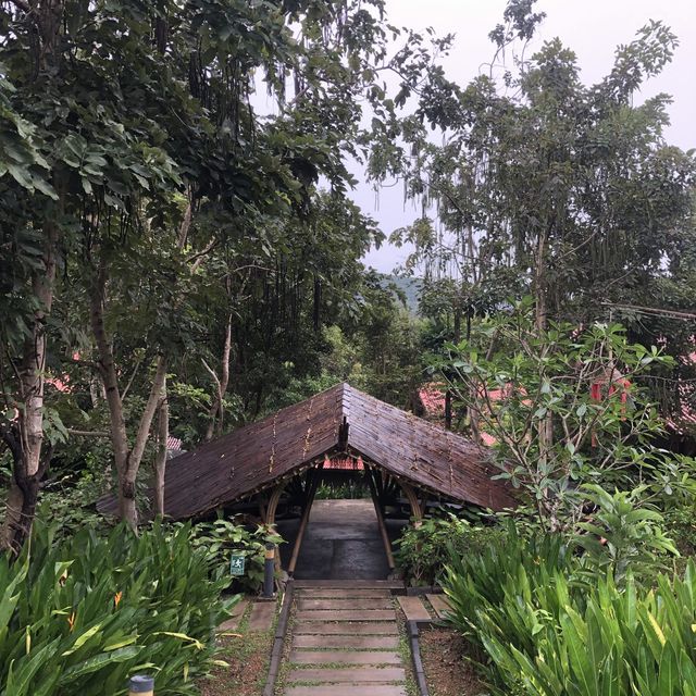 boutique resort with infinity pool 