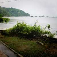 Hiking At Penang National Park