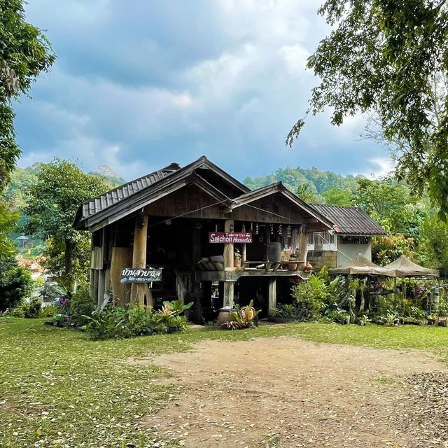 บ้านป่าเหมี้ยง
