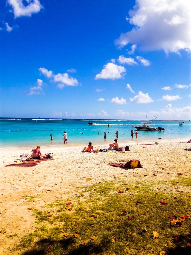 Northern Paradise in Mauritius 🏖👙🐚