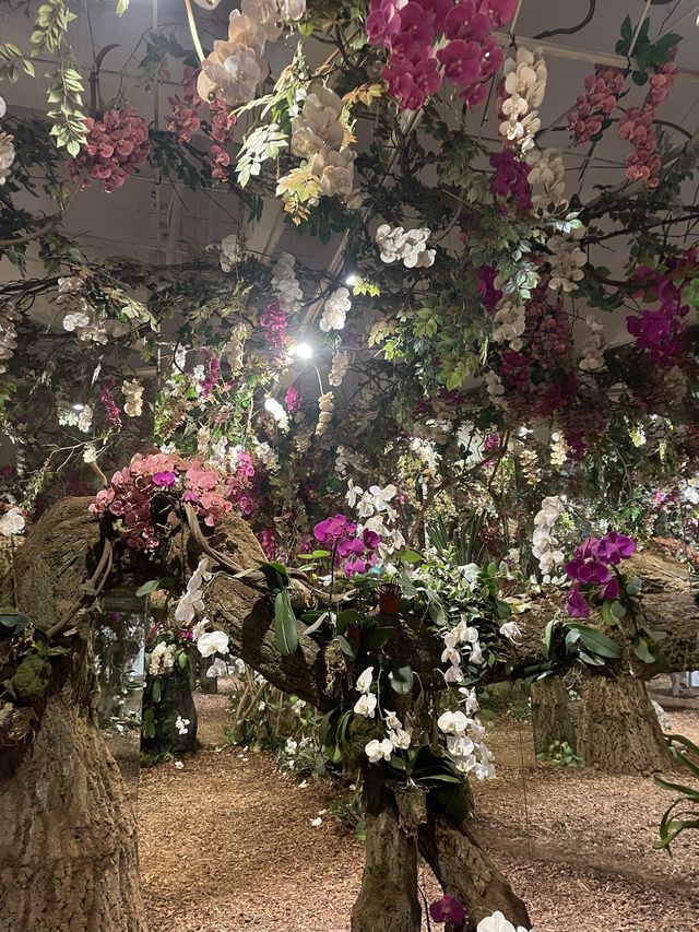 서울숲 전시회🌸 팀보타 머스타드블루 ‘탐의숲’