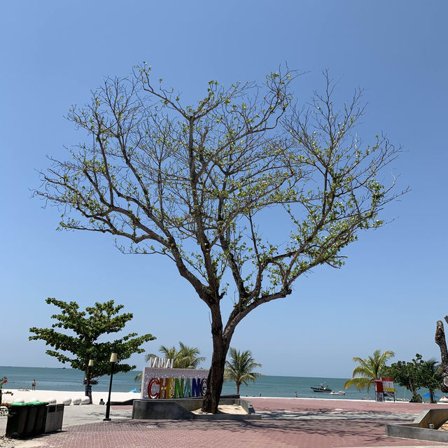 Alurring Beach: Cenang Beach, Langkawi 🏖️ 