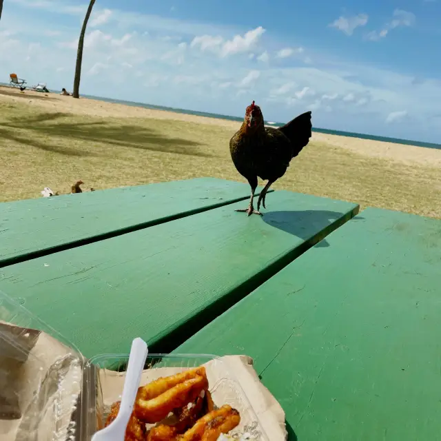 夏威夷可愛島