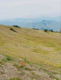 Atop Mnt. Baldy!