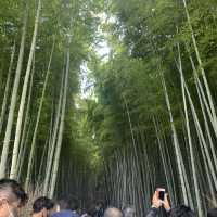 秋に行くべき人気スポット