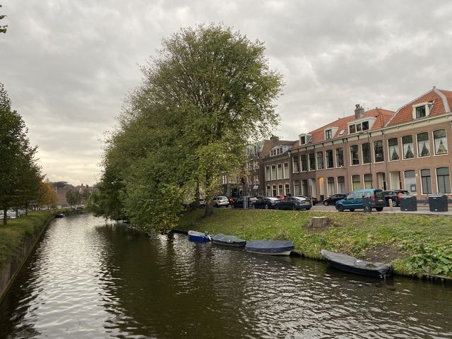 荷蘭🇳🇱休閒小鎮Haarlem攻略