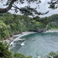 천해의 보물 제주도