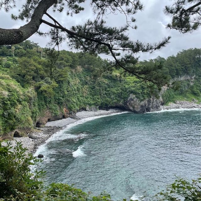 천해의 보물 제주도