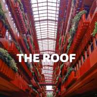 🎄Christmas in The Roof