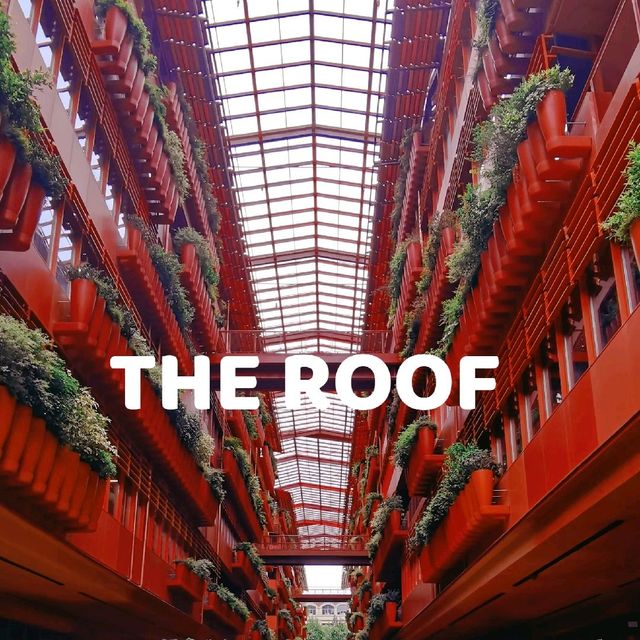 🎄Christmas in The Roof