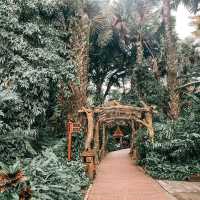 Xishuangbanna - Thailand of China 