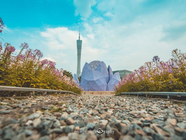 A Walk in Ersha Island@Guangzhou