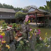 An oasis in a concrete jungle