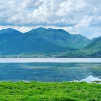 Horse Riding, Tea experience and Wetlands 