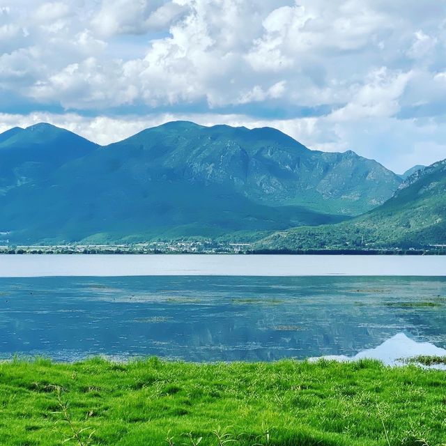 Horse Riding, Tea experience and Wetlands 