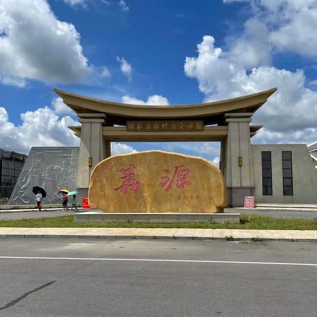 打卡中國荔枝博覽館