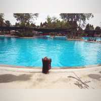 Deyang Bird Hill Restaurant and Pool!