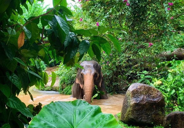 A day trip to the surprising Malaysia Wildlife Park.