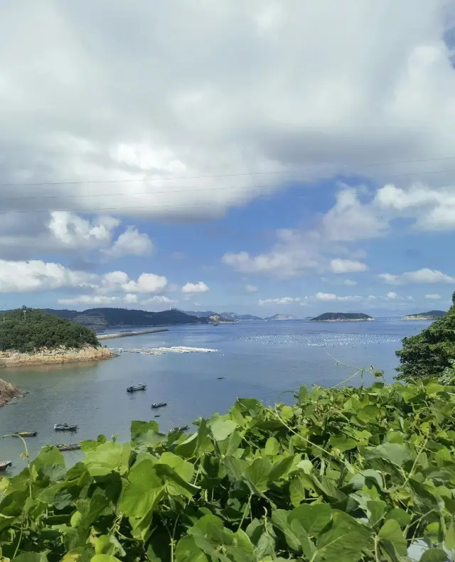 "Sea" to be discovered | Dongtou Island's stunning scenery, beach exploration,