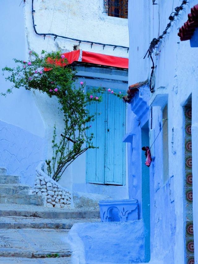 You can always trust the North African blue!!! Chefchaouen town.
