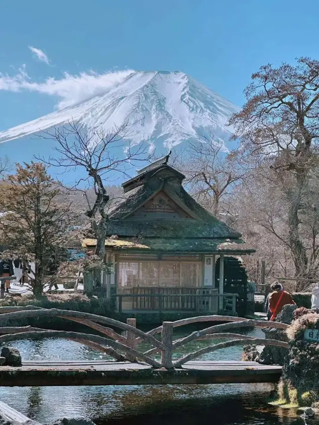 💯😍First-time Tokyo, Mt. Fuji, and Hakone travel guide 👆