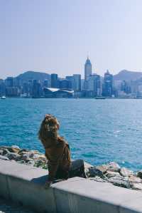 Hong Kong's hidden gem, the West Kowloon Cultural District, is absolutely stunning!