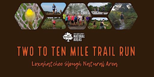 Two to Ten Mile Trail Run on the Bluegill Trail (Choose your distance) | Karen T. Marcus Sandhill Crane Access Park