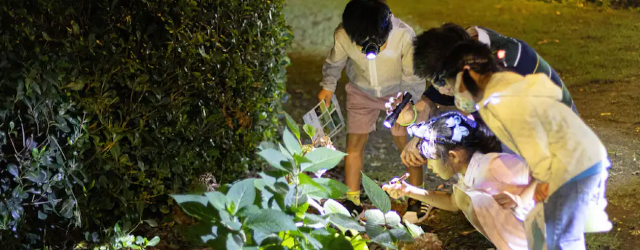 【上海迪士尼樂園】迪士尼小鎮星願公園探索隊「奇遇自然新夥伴」：夜間探索活動 | 上海迪士尼樂園