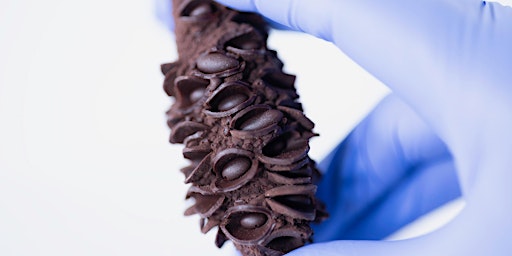 Ethical Chocolate Making Workshops - Adults | Shoalhaven Regional Gallery, Nowra