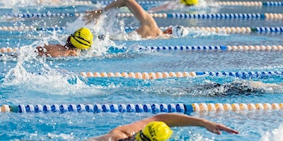 Yarra Roughies Squad Training | Fitzroy Swimming Pool